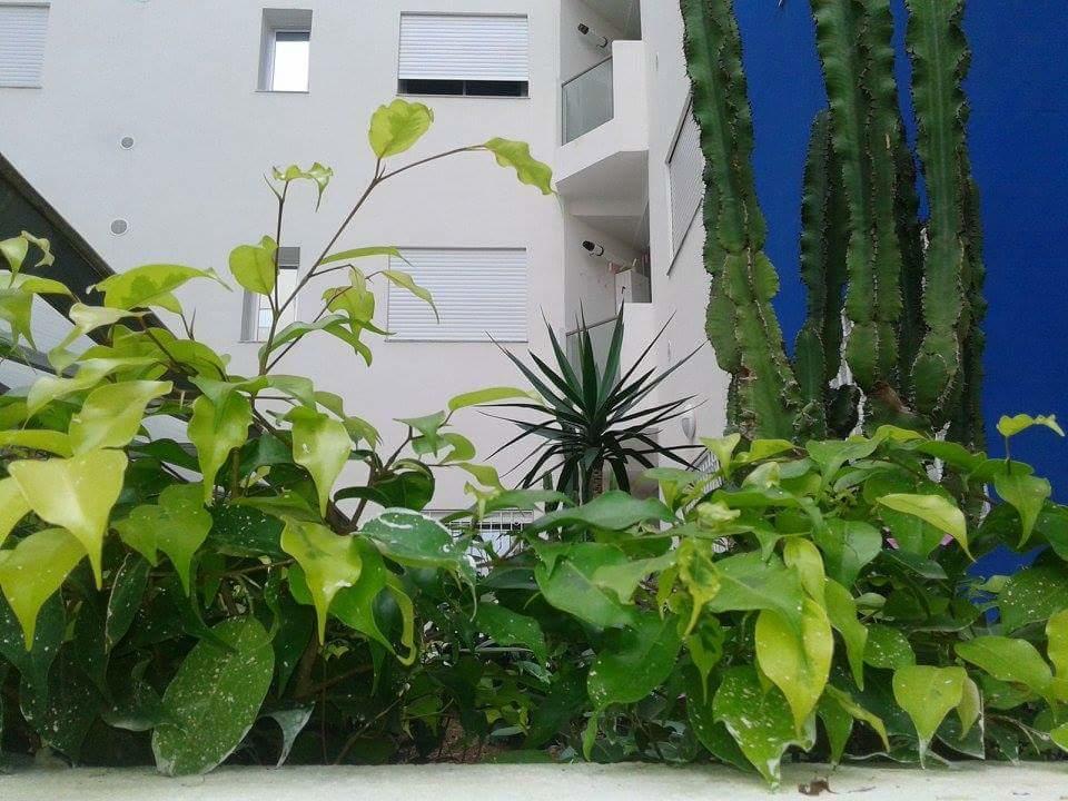 Le Lagon De Hammamet Habitación foto
