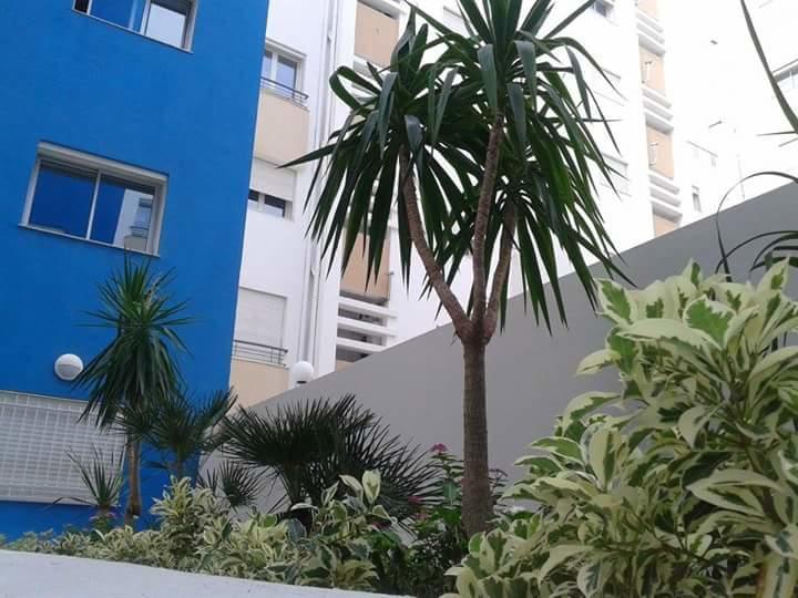 Le Lagon De Hammamet Habitación foto